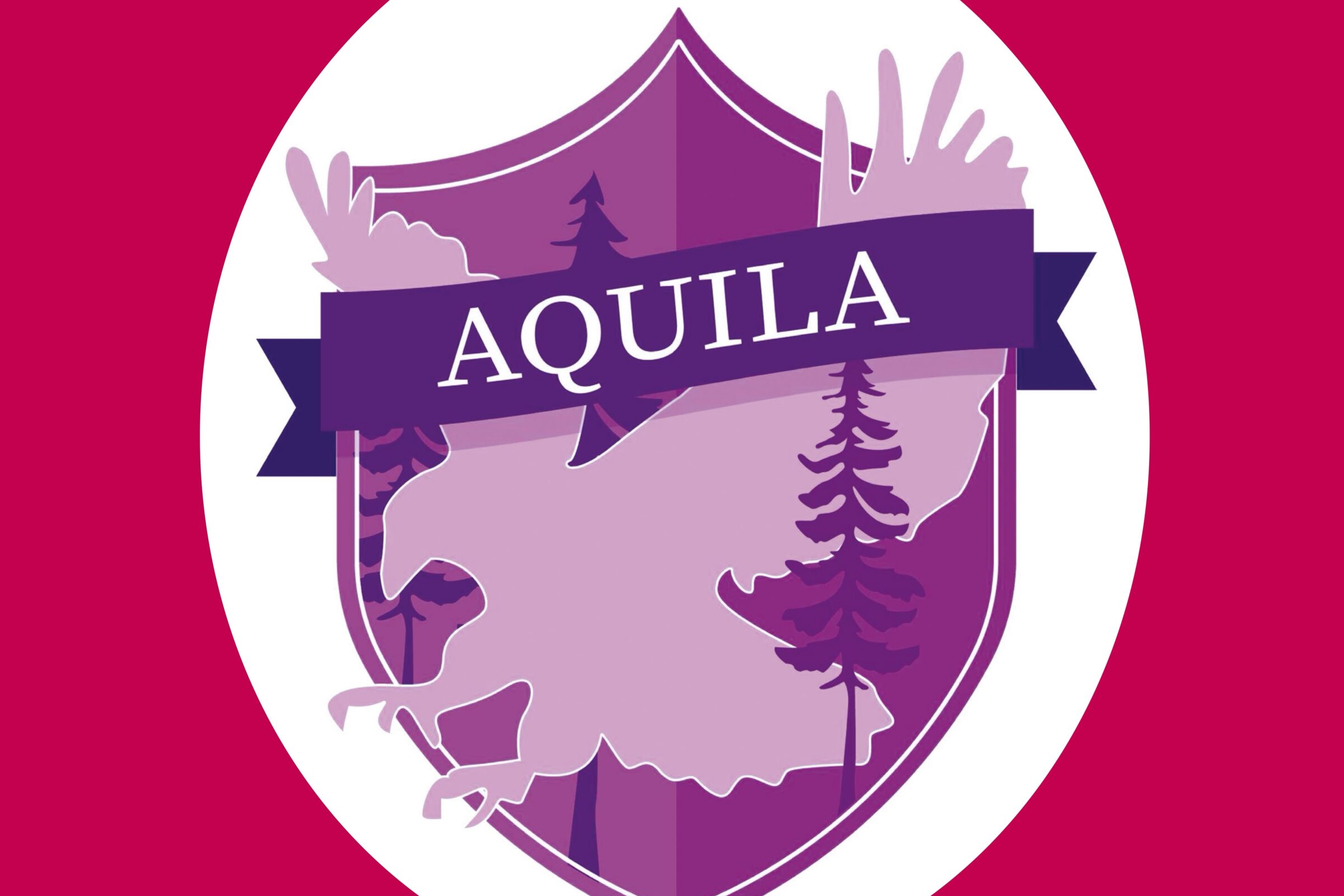 Aquila